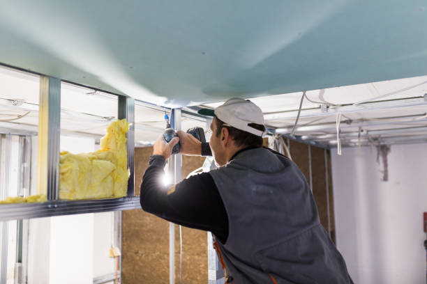 Insulation Repair Services in Nashville, NC