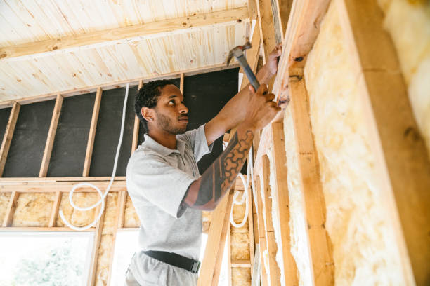 Best Local Insulation Services  in Nashville, NC
