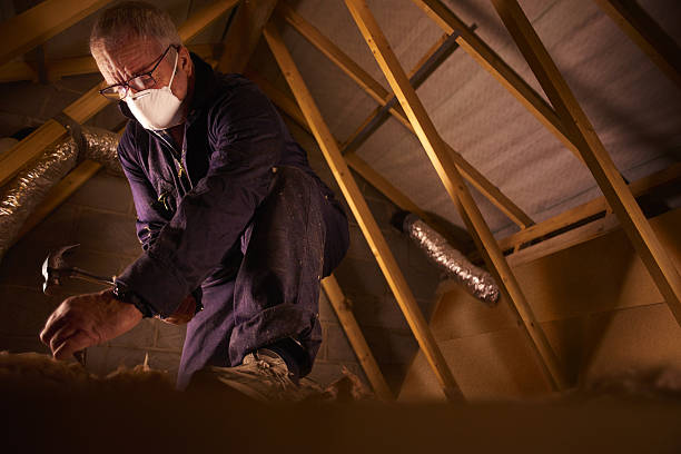 Insulation Replacement Services in Nashville, NC